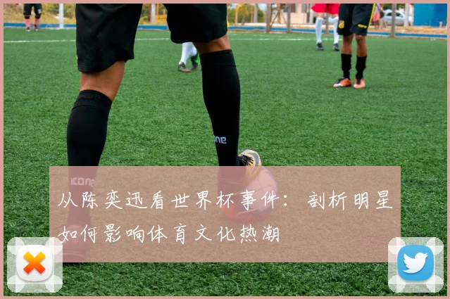 从陈奕迅看世界杯事件：剖析明星如何影响体育文化热潮