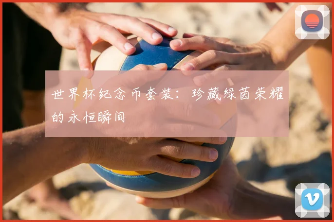 世界杯纪念币套装：珍藏绿茵荣耀的永恒瞬间