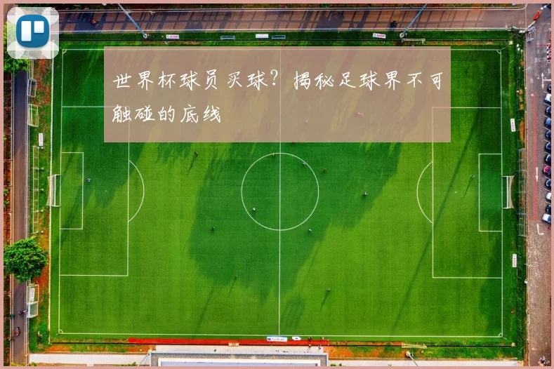 世界杯球员买球？揭秘足球界不可触碰的底线