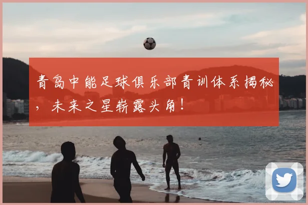 青岛中能足球俱乐部青训体系揭秘，未来之星崭露头角！