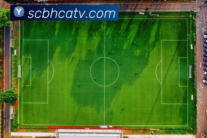 开云手机在线登录界面服务体系