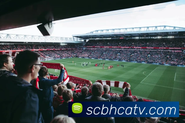 多媒体互动体验