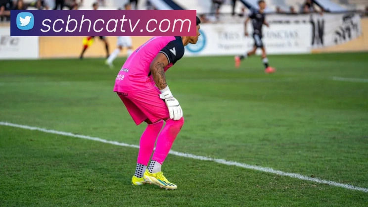 开云手机在线登录界面APP 体育赛事宣传图